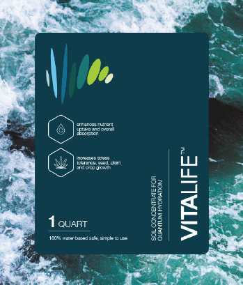 VitaLife